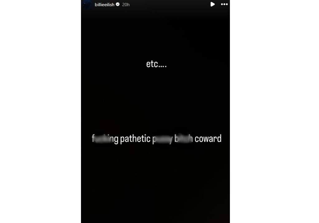 A screenshot of Billie Eilish's Instagram Stories.