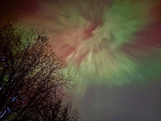 A green and red aurora is seen in the skies over Chestermere, Alta. on Tuesday, Nov. 11, 2025