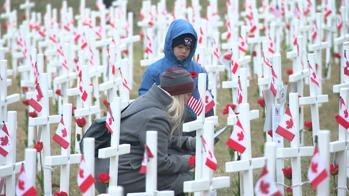 The Field of Crosses is a visually stunning and moving memorial to those who have given their lives for their country in the support of peace.
