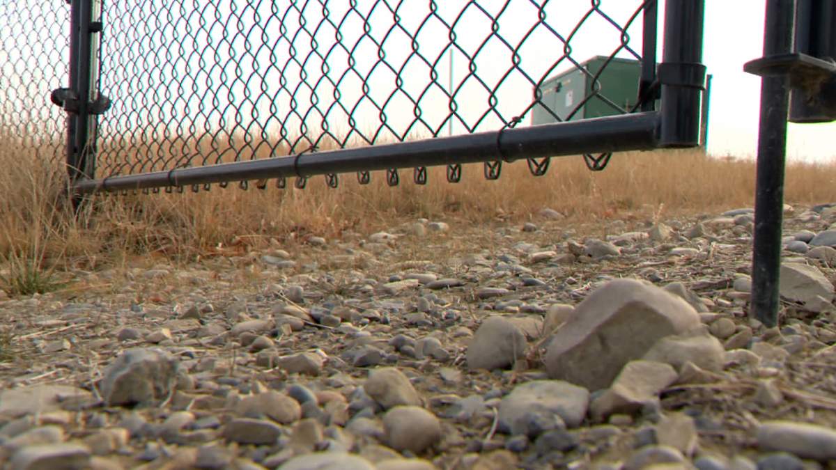 Residents of Vermillion Hill and Alpine Park believe the aggressive dogs got into the communities through holes in the fence, separating them from the neighbouring Tsuut'ina First Nation.