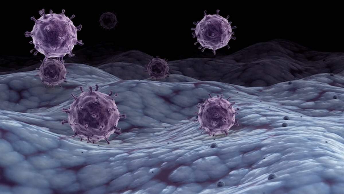 While H1N1 was predicted to be the dominant strain of the flu in Canada this winter, the H3N2 strain has become much more prevalent in recent weeks.
