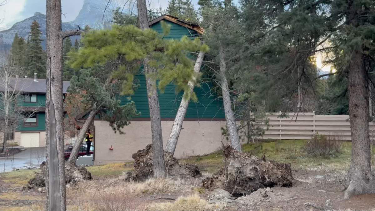 Residents of Banff, Alta. were cleaning up Monday morning after an overnight windstorm toppled trees, blocked streets and damaged some houses in the mountain town.