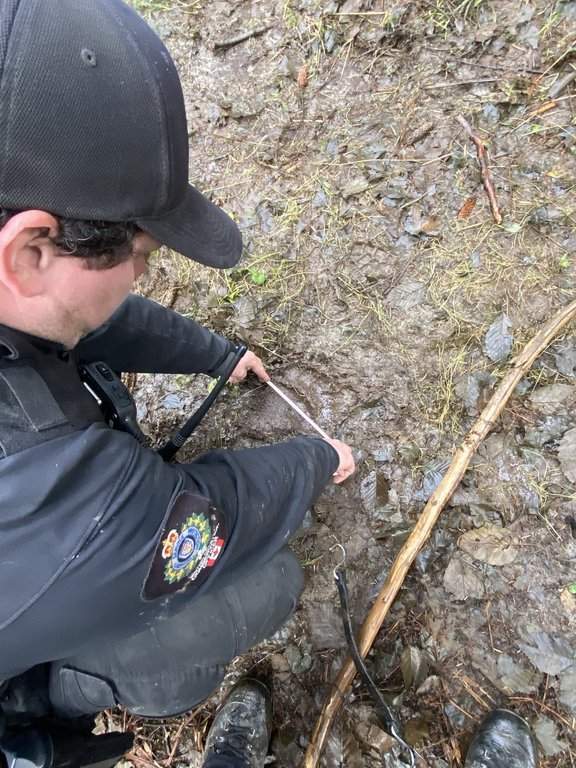 A B.C. conservation officer measures a footprint in the mud during the search in Bella Coola on Saturday Nov. 22, 2025, for a bear that attacked a group of children and their teachers. THE CANADIAN PRESS/Handout — B.C. Conservation Officer Service (Mandatory Credit).