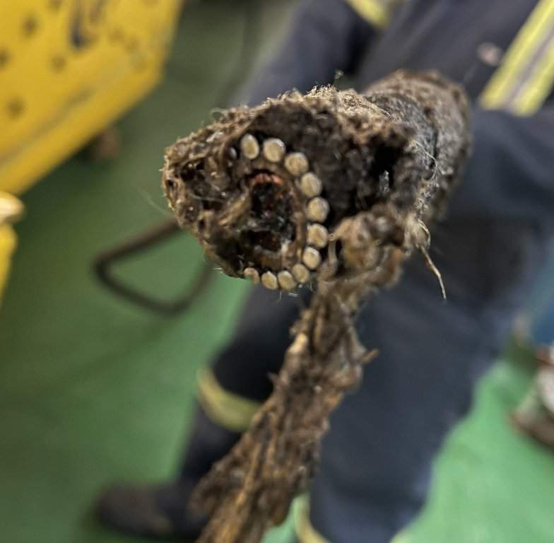 A subsea fibre optic cable linking Nova Scotia with western Newfoundland, shown in this handout photo, was severed on Dec. 24, 2024. THE CANADIAN PRESS/Handout - Bell (Mandatory Credit).