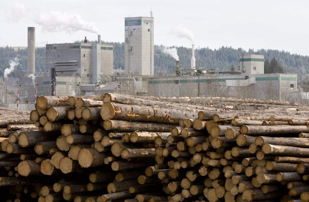 FILE: Logs piled up at West Fraser Timber in Quesnel, B.C., on April 21, 2009.
