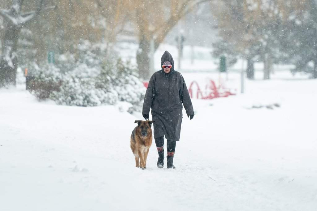 A person walks with their dog along Dow's Lake in Ottawa on Saturday, Jan. 13, 2024. Parts of northeastern Ontario should brace for the next blast of wintry weather as the area expects to see a near-20-degree drop in temperature over the next 24 hours. THE CANADIAN PRESS/Spencer Colby.