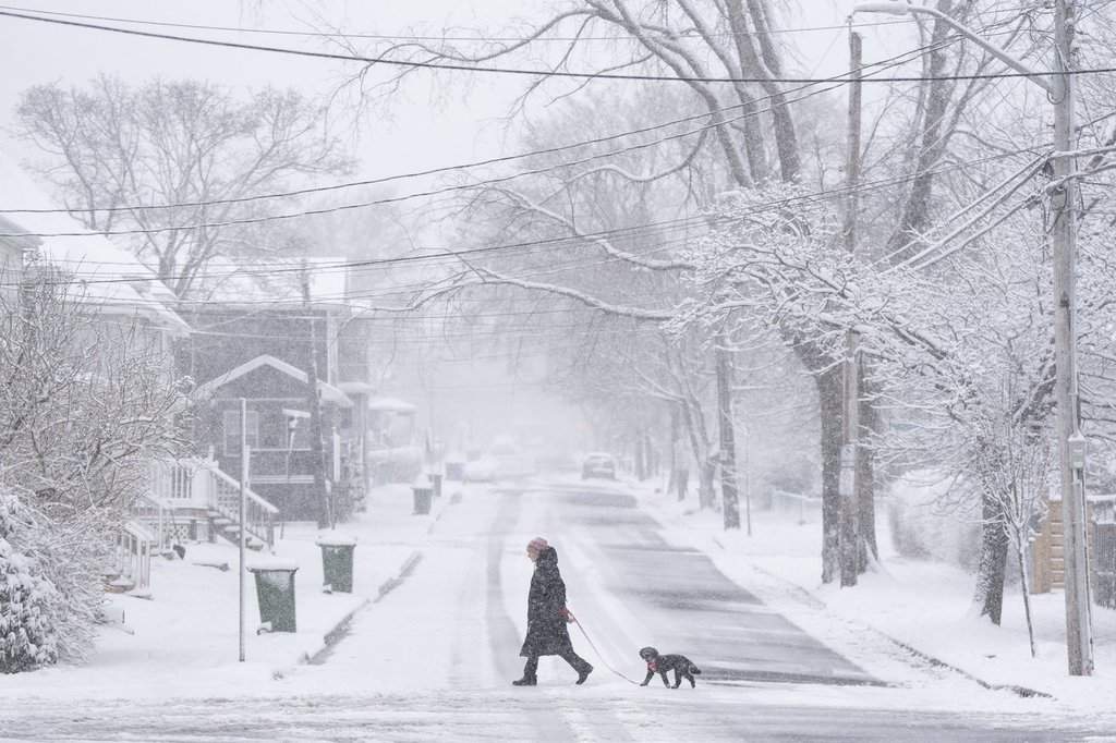 A pedestrian walks their dog across the street in Halifax during a spring snowstorm that closed schools and impacted travel across much of Nova Scotia on Tuesday, April 8, 2025. 