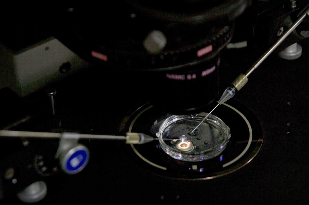 FILE - In this Oct. 9, 2018 file photo, an embryo receives a small dose of Cas9 protein and PCSK9 sgRNA in a sperm injection microscope in a laboratory in Shenzhen in southern China's Guangdong province, during work by scientist He Jiankui's team. On Thursday, Feb. 7, 2019.