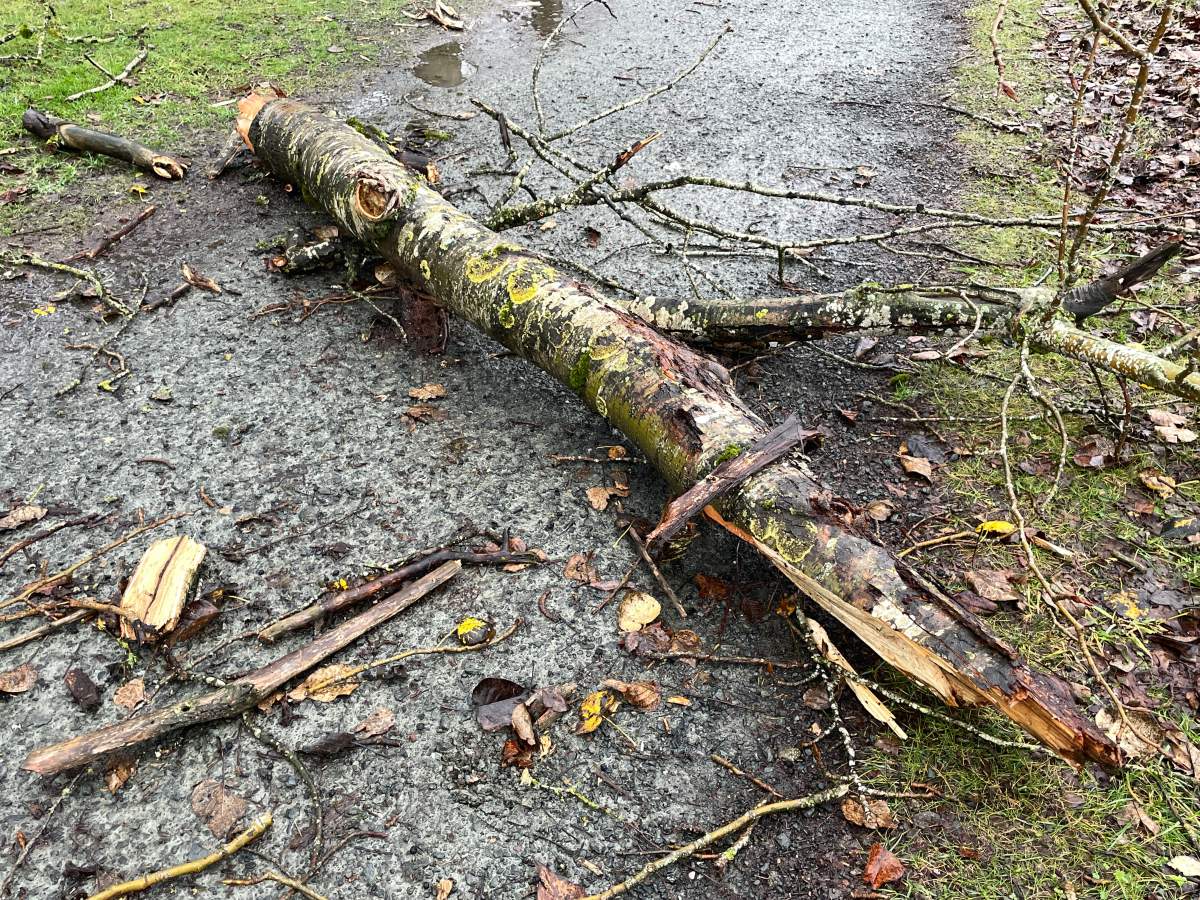 RCMP said it was very windy in the area at the time.