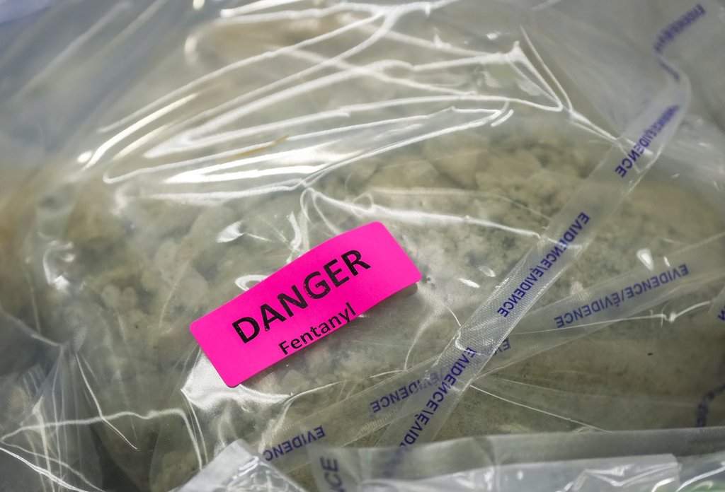 Fentanyl is displayed before a news conference at RCMP headquarters, in Surrey, B.C., on Thursday, Oct. 31, 2024. THE CANADIAN PRESS/Darryl Dyck.