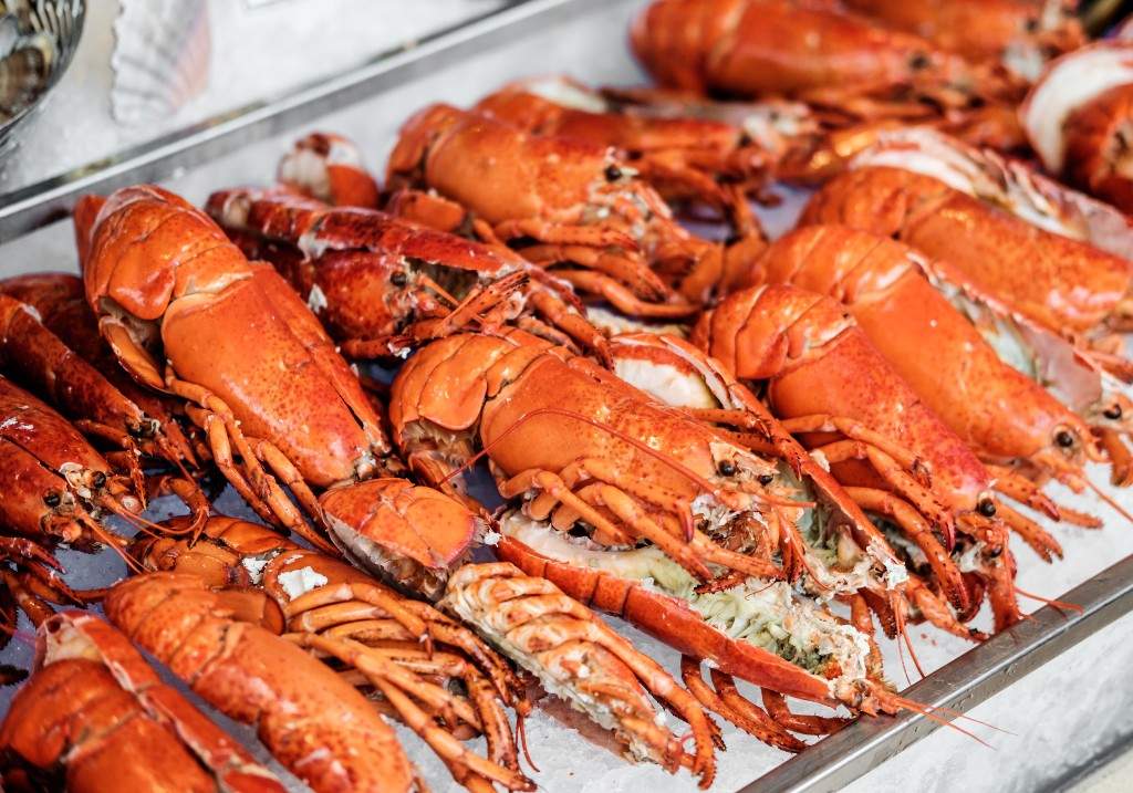 A file photo of lobsters.