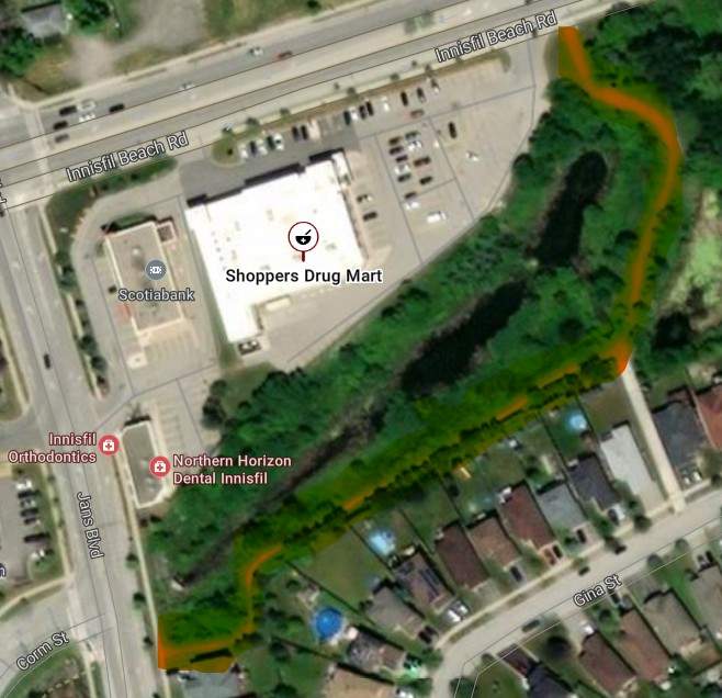 A 53-year-old York Regional Police staff sergeant faces a dangerous driving charge after a vehicle cut through a pedestrian path during the Innisfil Santa Claus parade.