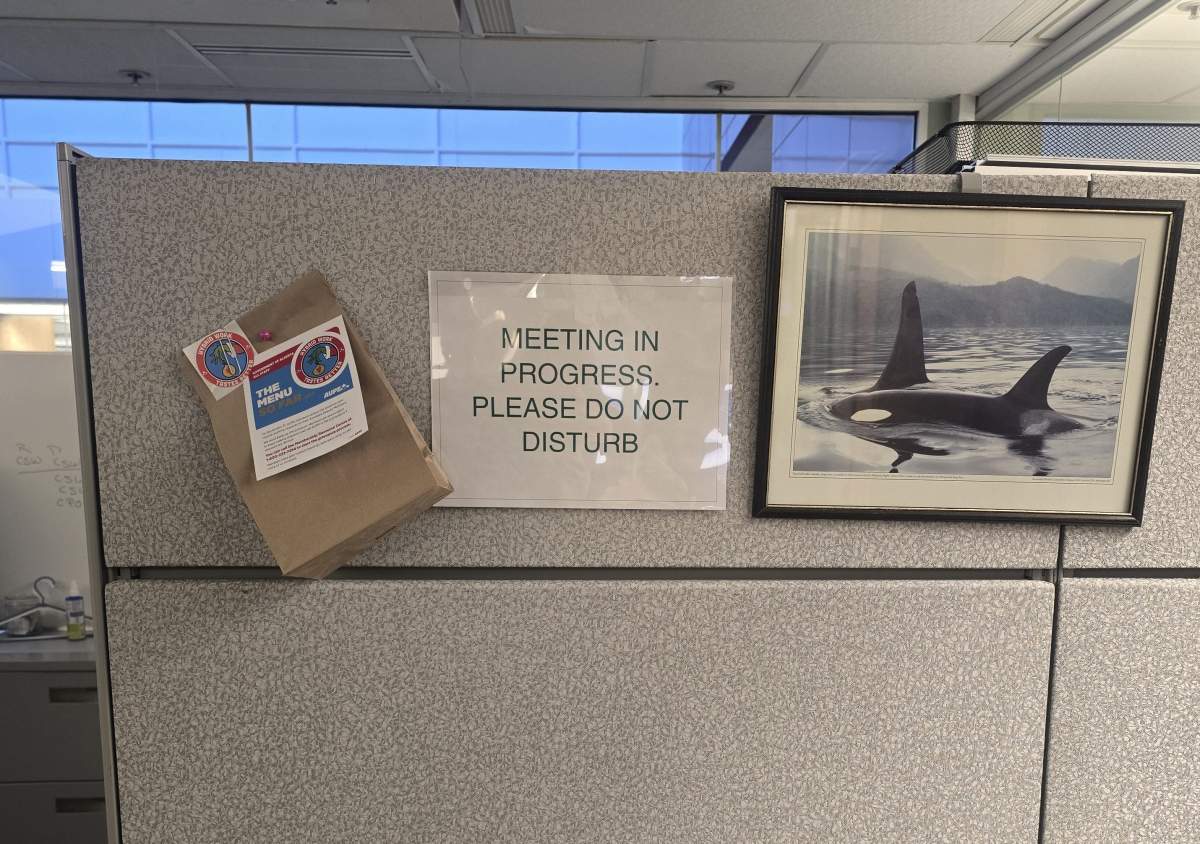 The Alberta Union of Provincial Employees says workers are planning to place the bags on their desk with a note stating: “Hybrid work tastes better.”
