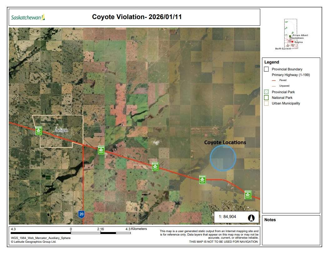 A provincial map shows the location east of Lanigan, Sask., where conservation officers say multiple coyotes were run over by snowmobiles.