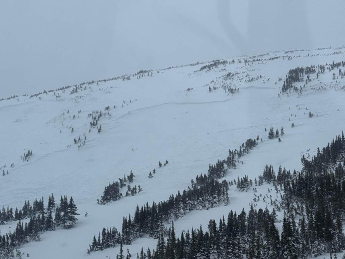 A view of an avalanche area near Tumbler Ridge, in B.C.'s northeastern Rocky Mountains, taken the day after the incident on Dec. 30, 2025.