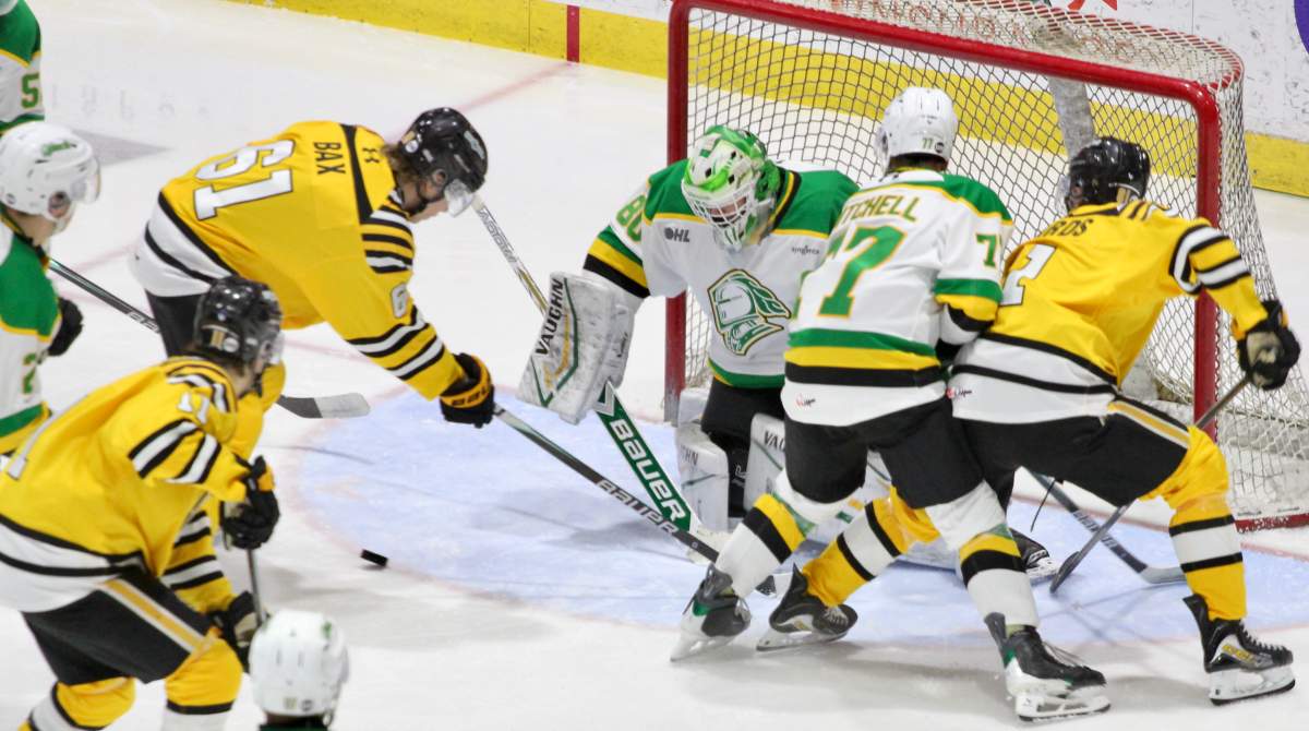 London Knights goaltender Seb Gatto makes one of his 21 saves in a 4-1 win over the Sarnia Sting on Jan. 16, 2026 at the Progressive AutoSales Arena.
