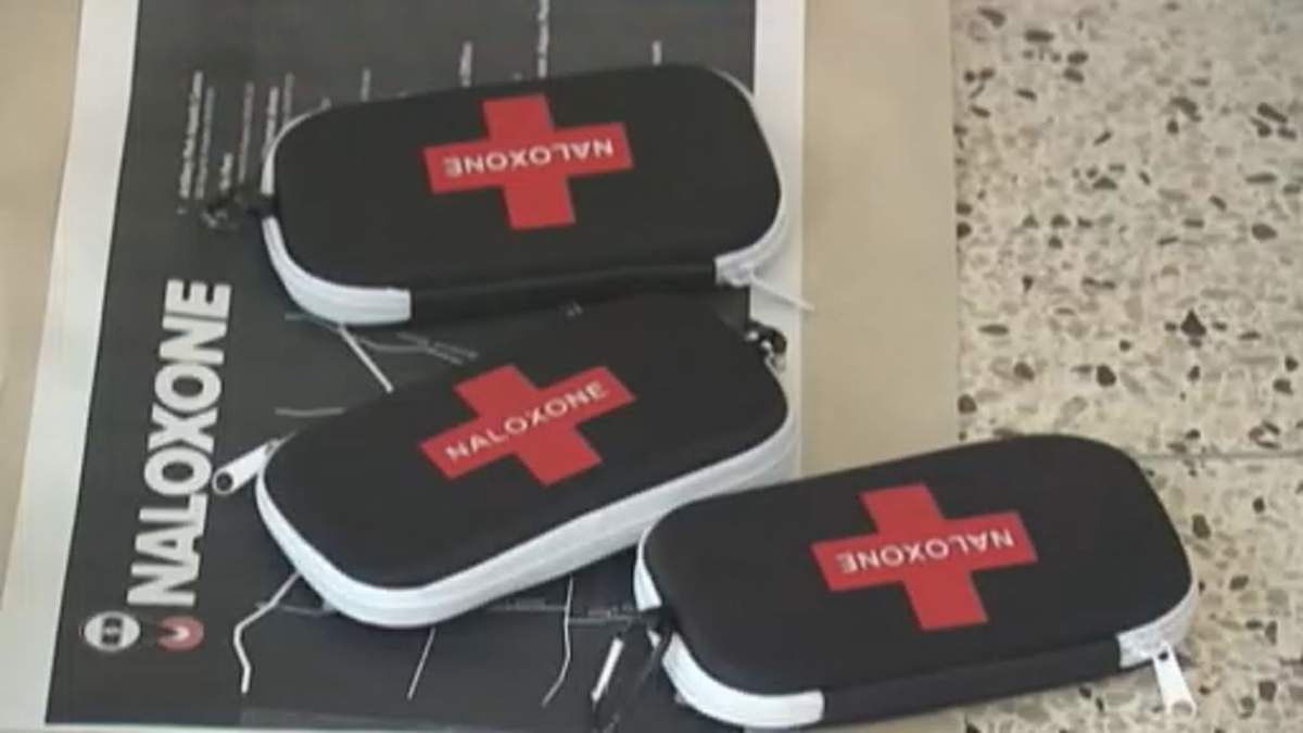 Health officials warn a sample sold as cocaine in Kingston contained deadly fentanyl and animal tranquillizers — but no actual cocaine.