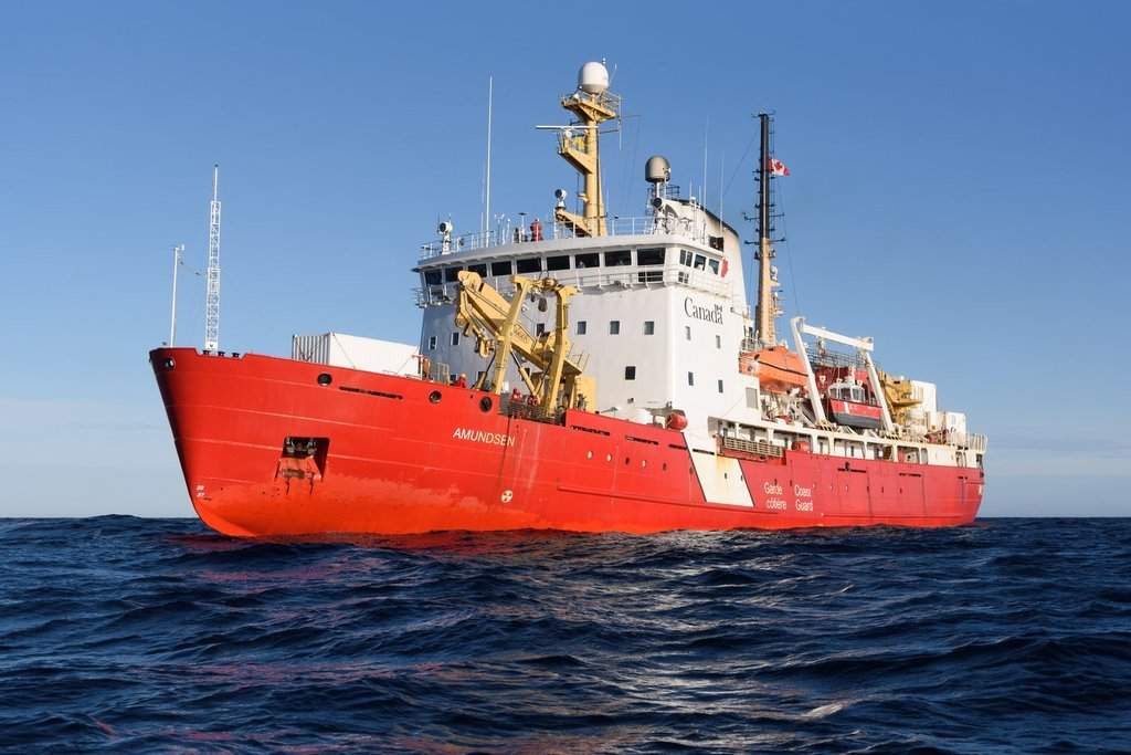 The CCGS Amundsen research icebreaker in Foxe Basin, Nunavut on Thursday, October 12, 2023. THE CANADIAN PRESS/Dustin Patar.