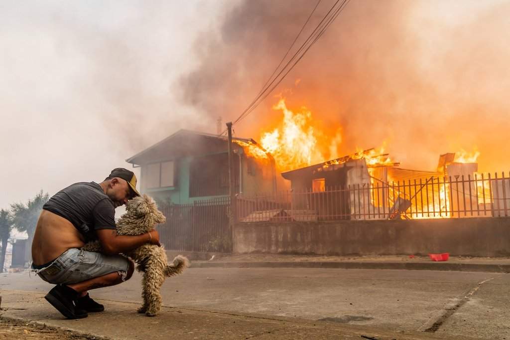 A member of the Gonzalez family pets his dog after the family's home caught fire during wildfires in Lirquen, Chile, Sunday, Jan. 18, 2026. 