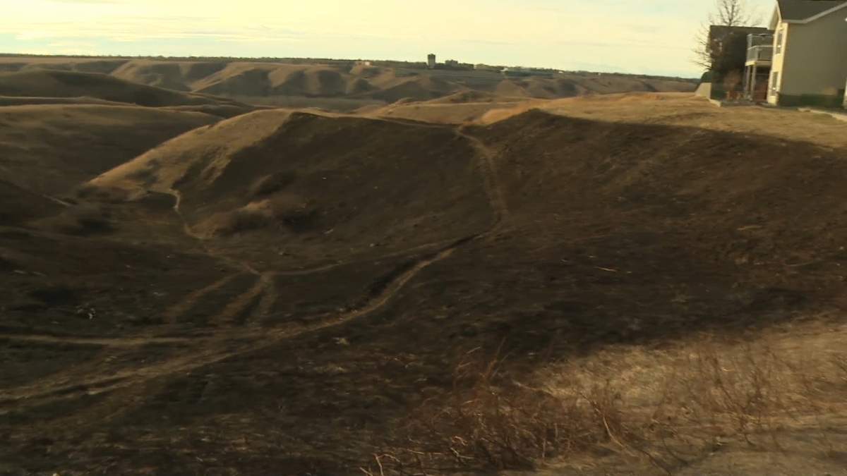 A large area of blackened grass shows just how close the fire in the Lethbridge River Valley came to homes in the area early Tuesday morning.