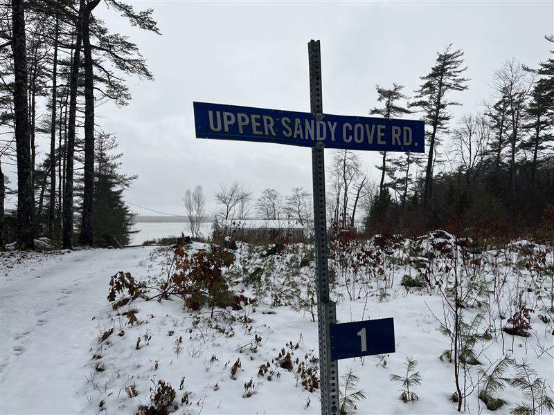The teen was mauled by three “large-breed dogs” — identified as two Cane Corsos and a Rottweiler by RCMP — while riding his bicycle past a property on Upper Sandy Cove Road in Welshtown, N.S., on the evening of Jan. 3.