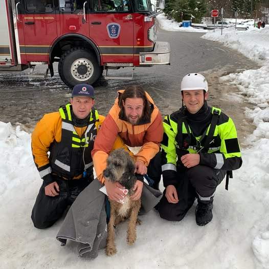 Whistler Fire Fighters IAFF Local 3944 posted a photo of a fire crew with a dog they rescued after it fell through ice on Jan. 3, 2026.