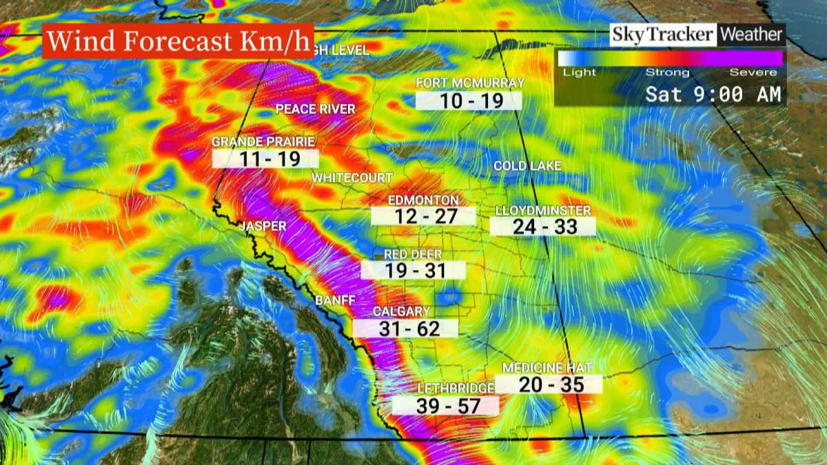 Gust winds blowing warm air in off the Pacific Ocean could result in some new temperature records being set in some parts of Alberta over the next week.