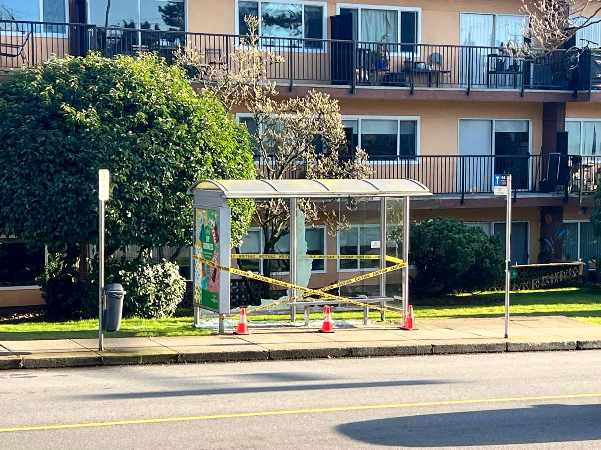 One of the bus shelters vandalized by what appeared to be a small projectile, police said.