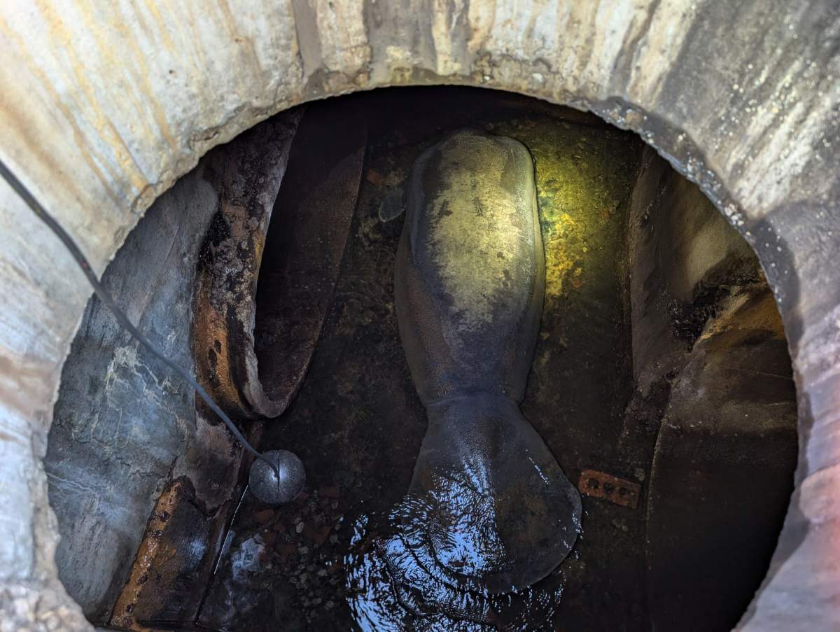 This photo provided by Brevard County Fire Rescue shows members of Brevard County Fire Rescue help rescue a manatee that was stuck in a storm drain on Monday, Feb. 9, 2026 in Melbourne Beach, Fla.