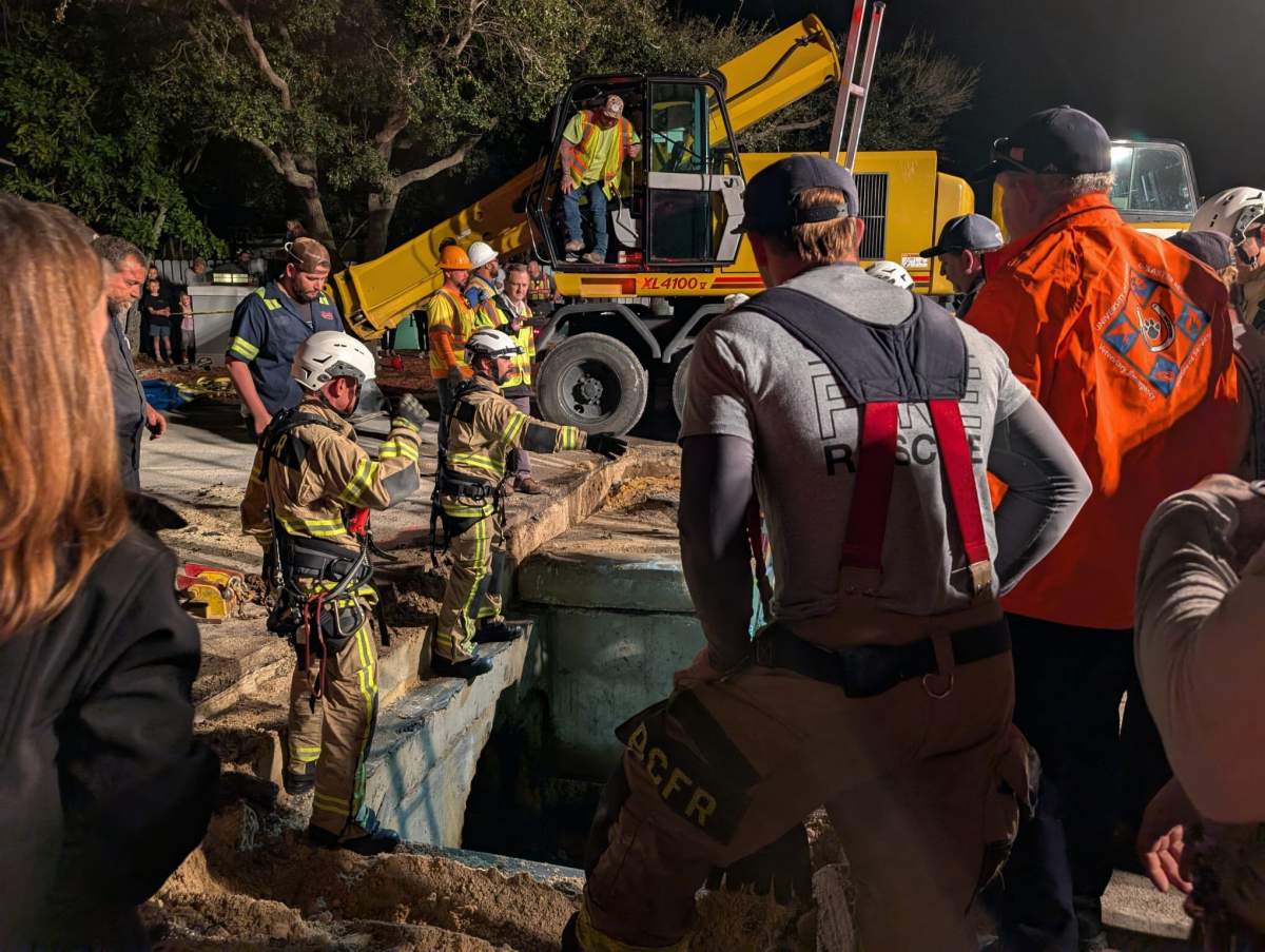 This photo provided by Brevard County Fire Rescue shows members of Brevard County Fire Rescue help rescue a manatee that was stuck in a storm drain on Monday, Feb. 9, 2026 in Melbourne Beach, Fla.