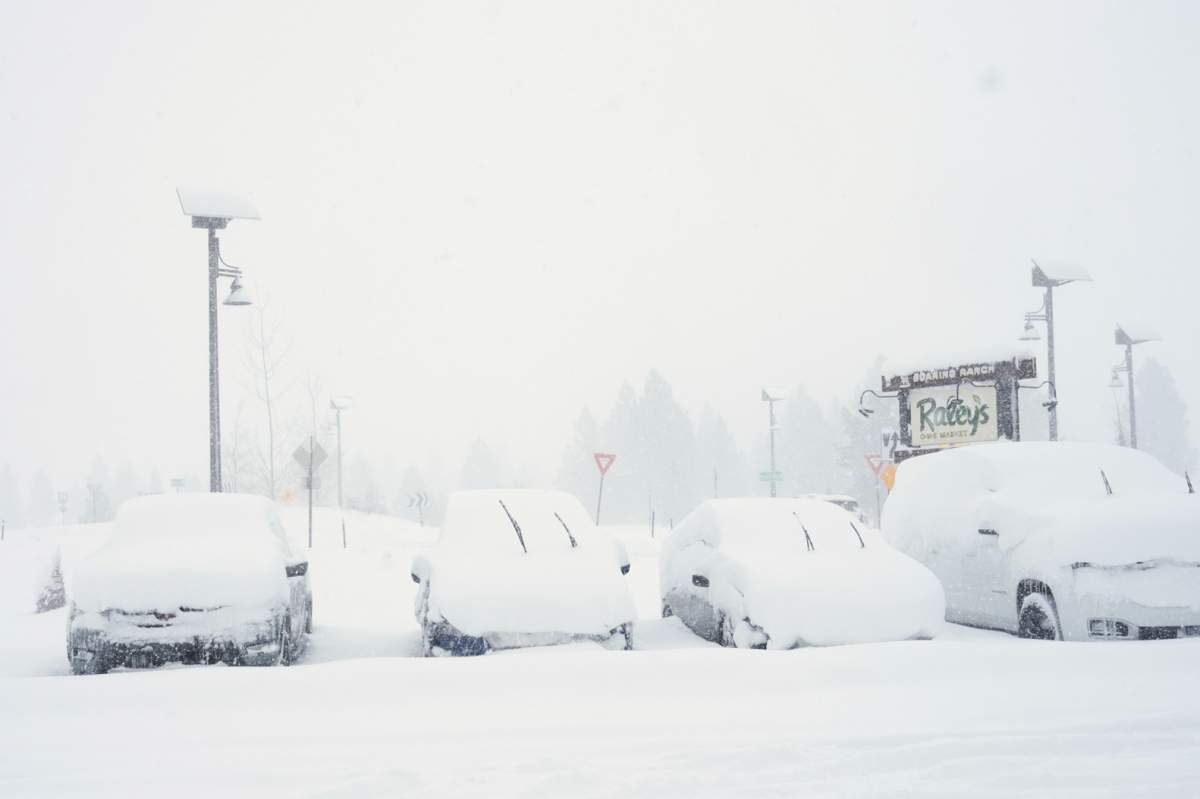 Cars covered in snow