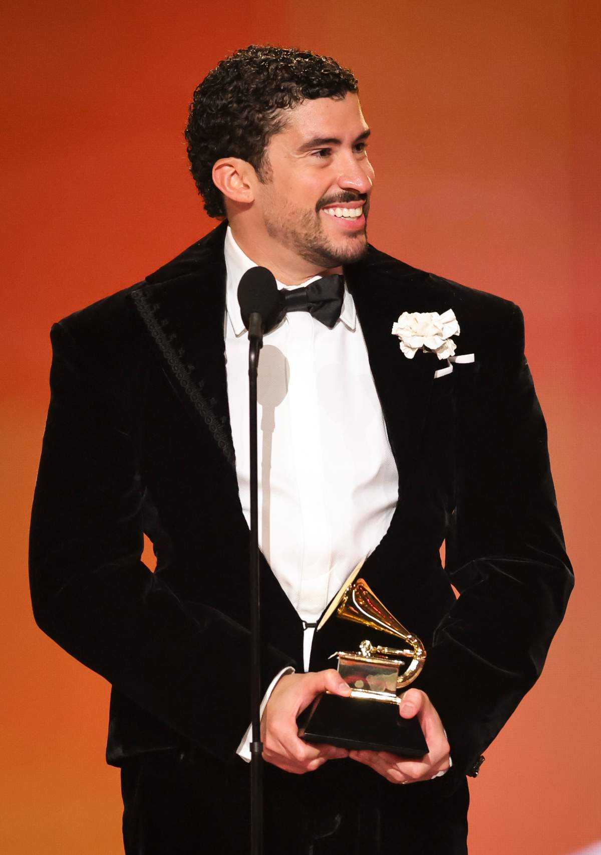 Grammys 2026: The best red carpet looks for less - image
