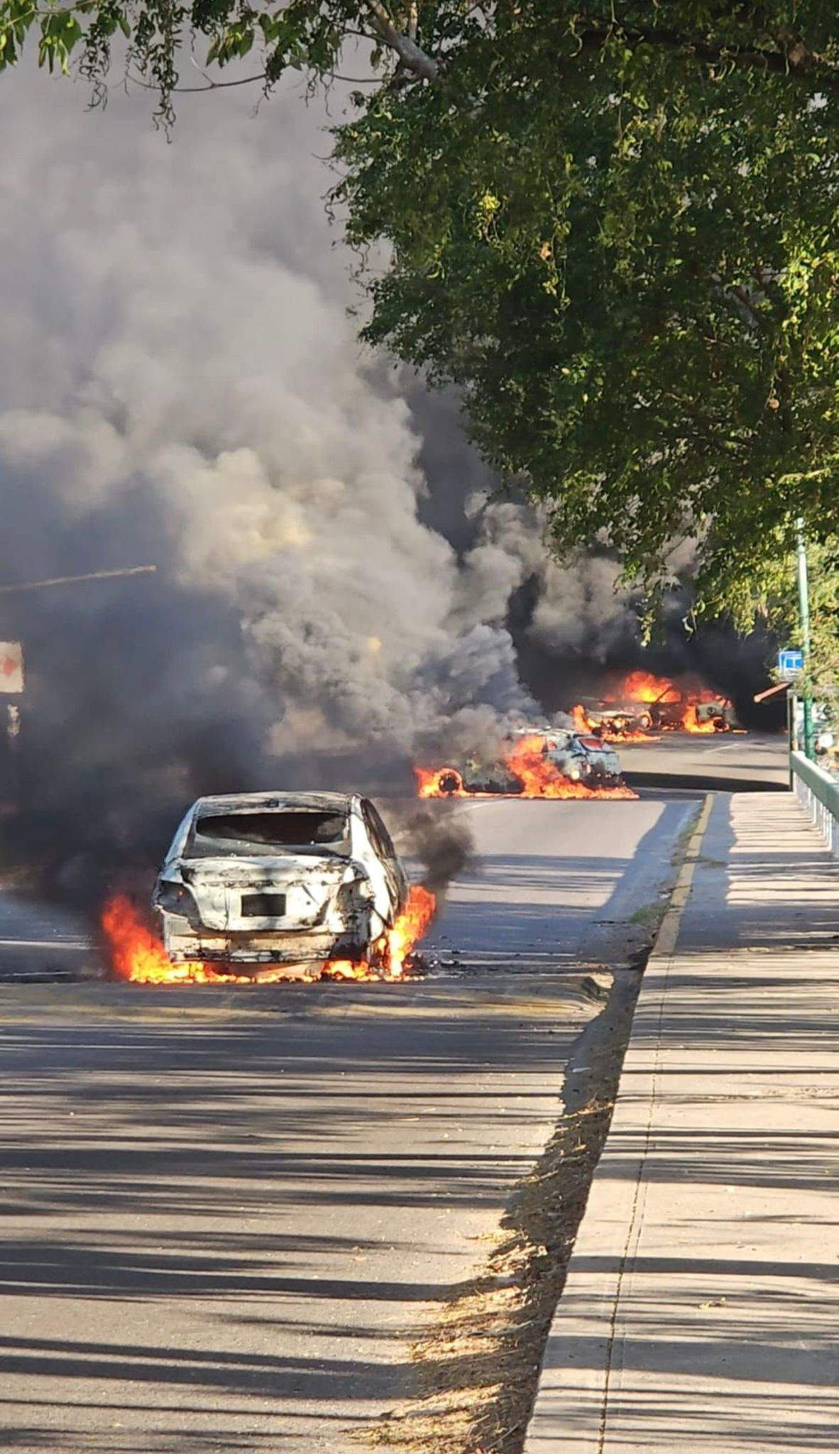 John Snyder lives in the Romantic Zone in Puerto Vallarta, where the worst of the violence occurred.