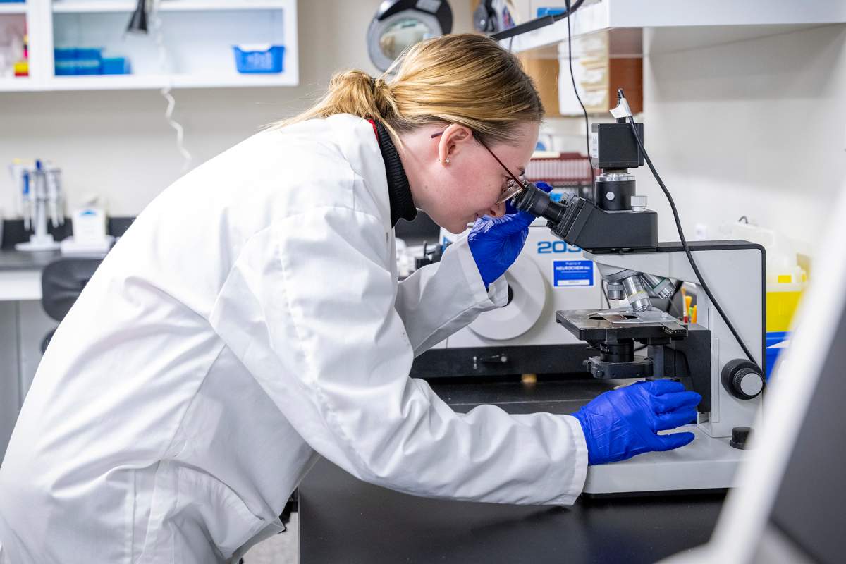 Canada’s largest tumour bank has moved to KHSC, consolidating 30 years of cancer samples under one roof to advance research and personalized treatment.