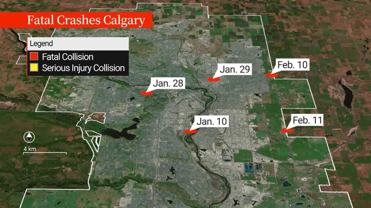 Just six weeks in to 2026 and Calgary police say there have already been five fatal crashes. That's well on pace to exceed last year's total of 38 fatal crashes, which was the highest in a decade.