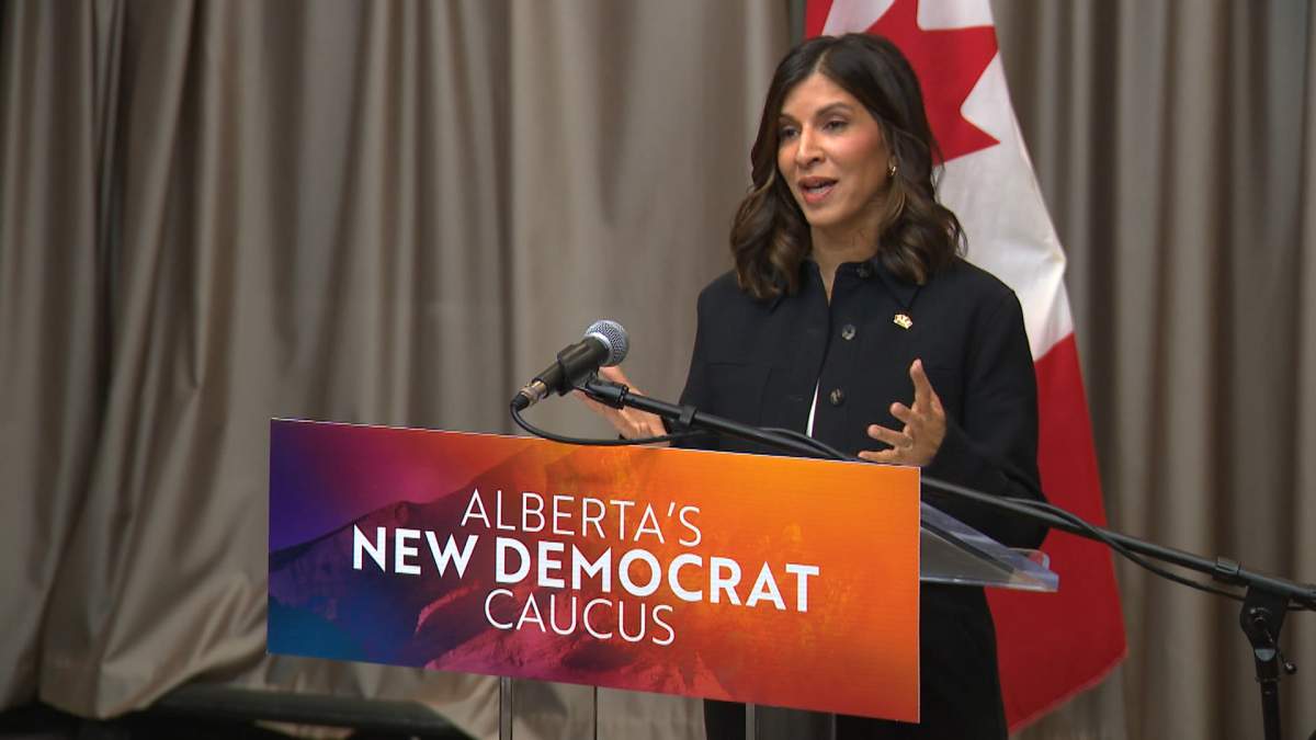 The Deputy Leader of the Alberta NDP, Raki Pancholi, responded to Premier Smith's plans to hold a referendum in October by challenging her to call an election, saying she did not run on the issue in the last provincial election.