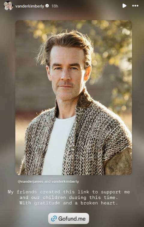 A screenshot of Kimberly Van Der Beek's Instagram Stories.
