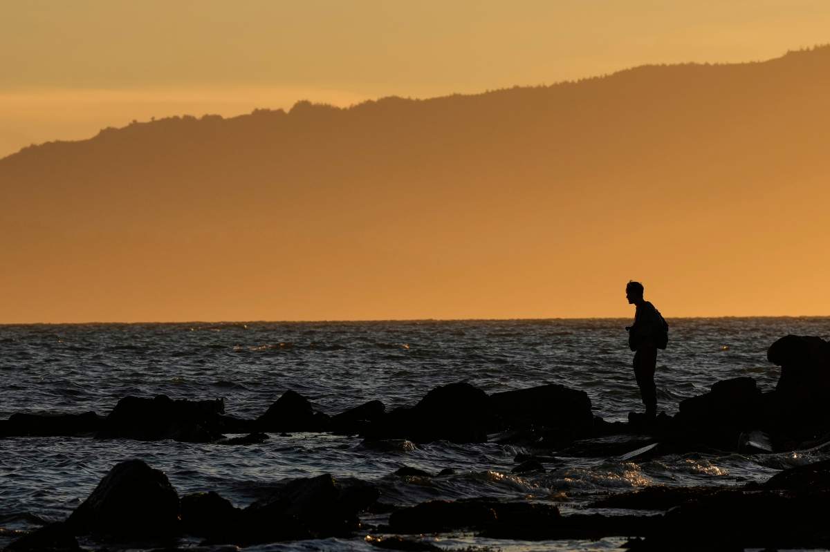 A man looks out at the San Francisco Bay while walking on a stretch of rocky shoreline