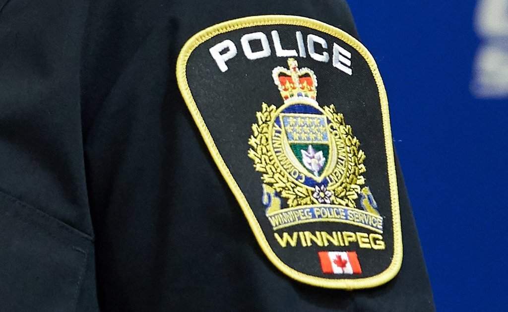 3 Winnipeg youths arrested for robbing pizza delivery man at gunpoint - image