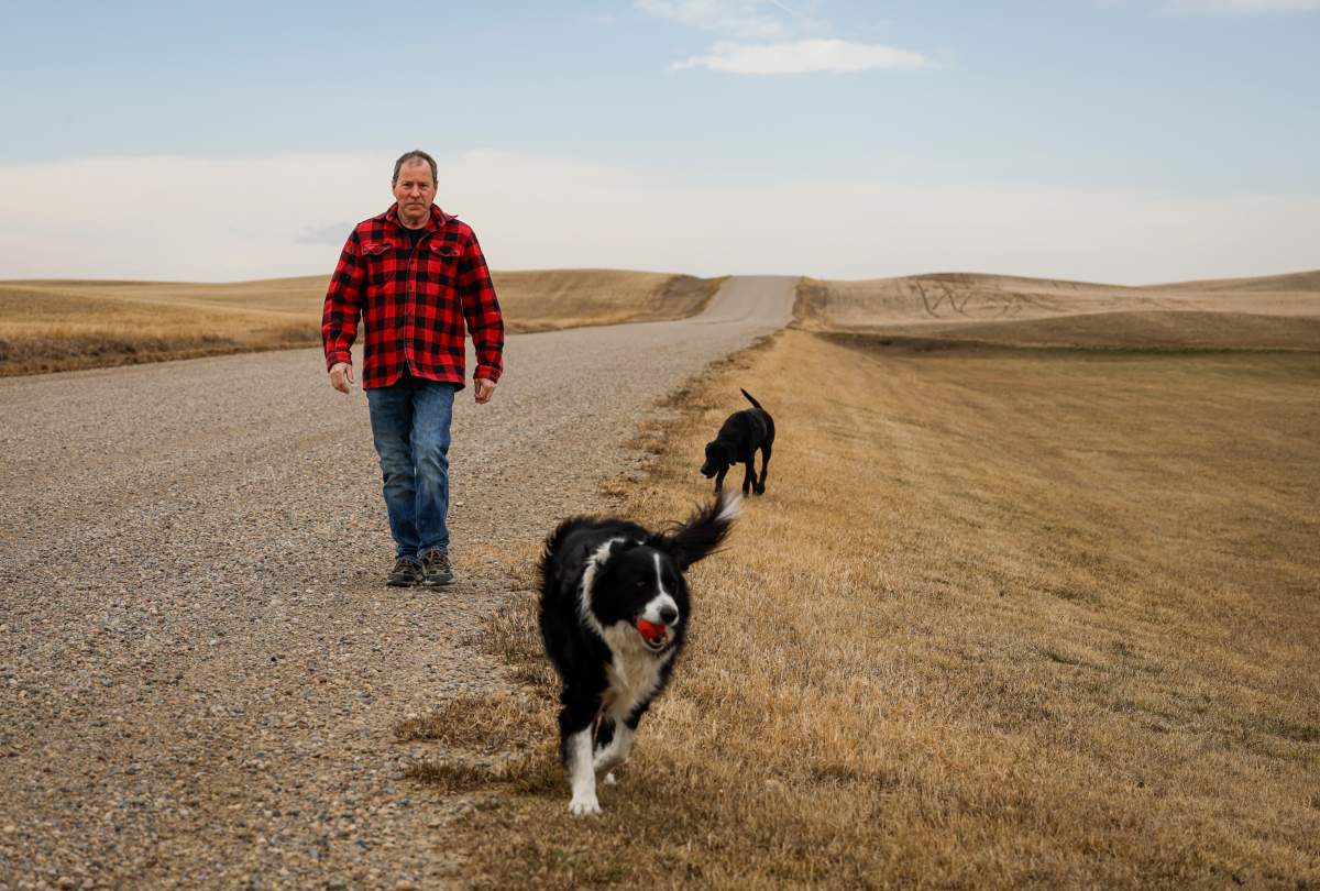 Farmer Ross Ford walks with his dogs Geordie and Lucy along the United States border road that runs in front of his house near Coutts, Alta., Thursday, March 19, 2026.