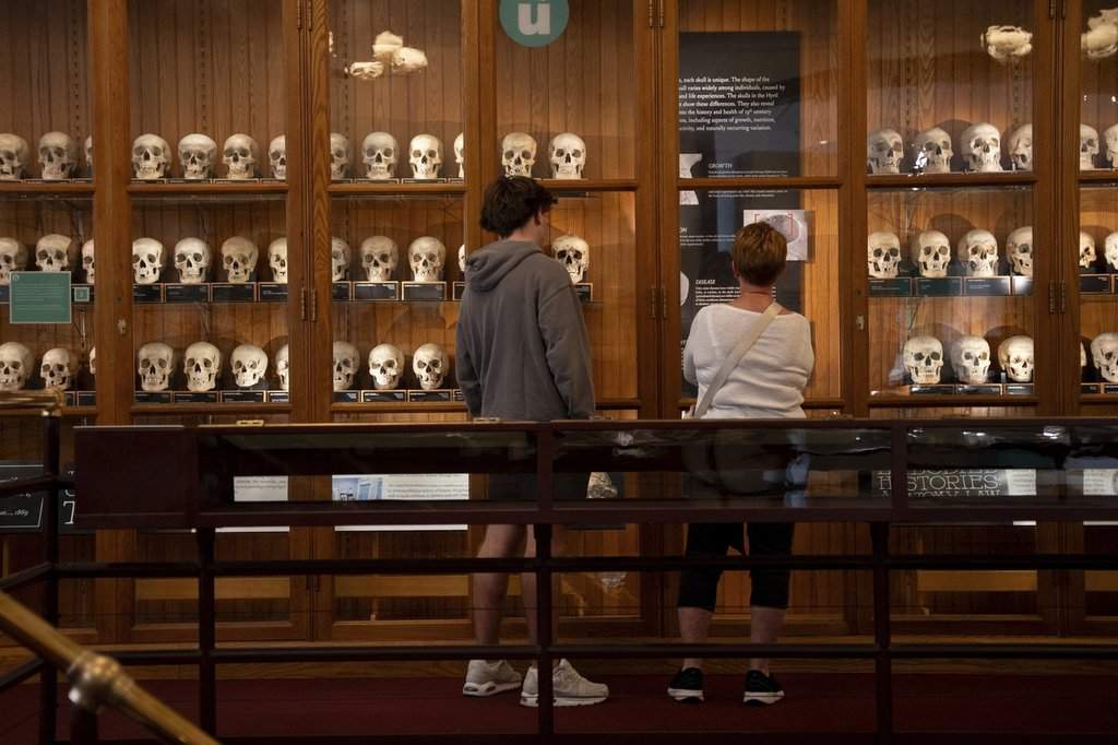 Milo Tivy, 16, and Shari Tivy, 75, look at a display of human skulls at the Mütter Museum on Thursday, Aug. 21, 2025, in Philadelphia. (AP Photo/Mingson Lau).