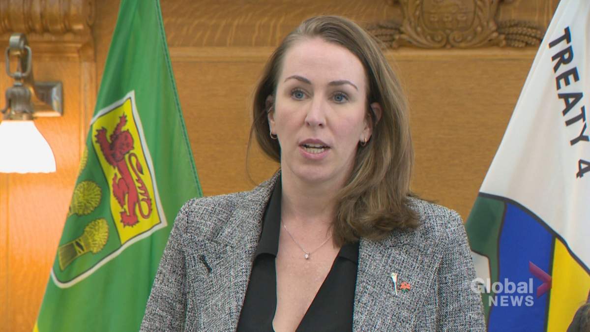 NDP shadow minister of jobs and economy, Aleana Young, questioning why an environmental impact assessment was not completed