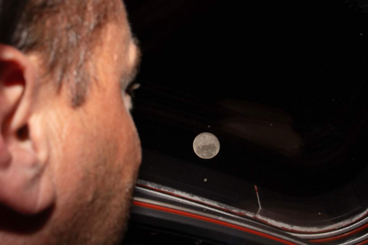 In this photo provided by NASA, Artemis II commander and NASA astronaut Reid Wiseman looks out one of the Orion spacecraft’s main cabin windows at the Moon ahead of the crew’s lunar flyby on April 6, 2026. (NASA via AP)