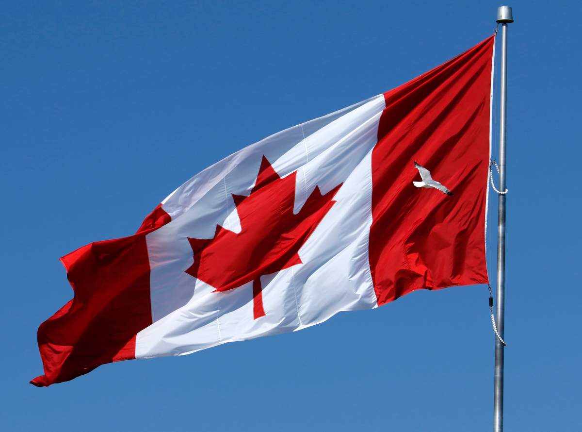 A seagull flies by a large Canadian flag during a strong wind in Colborne, Ont., on Monday, June 11, 2018.