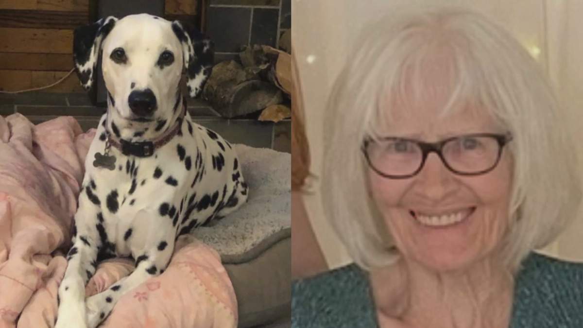 Diane Cooper and her dog, Halo, have been missing since Apr. 6, according to the RCMP.