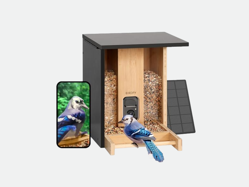 best bird feeders
