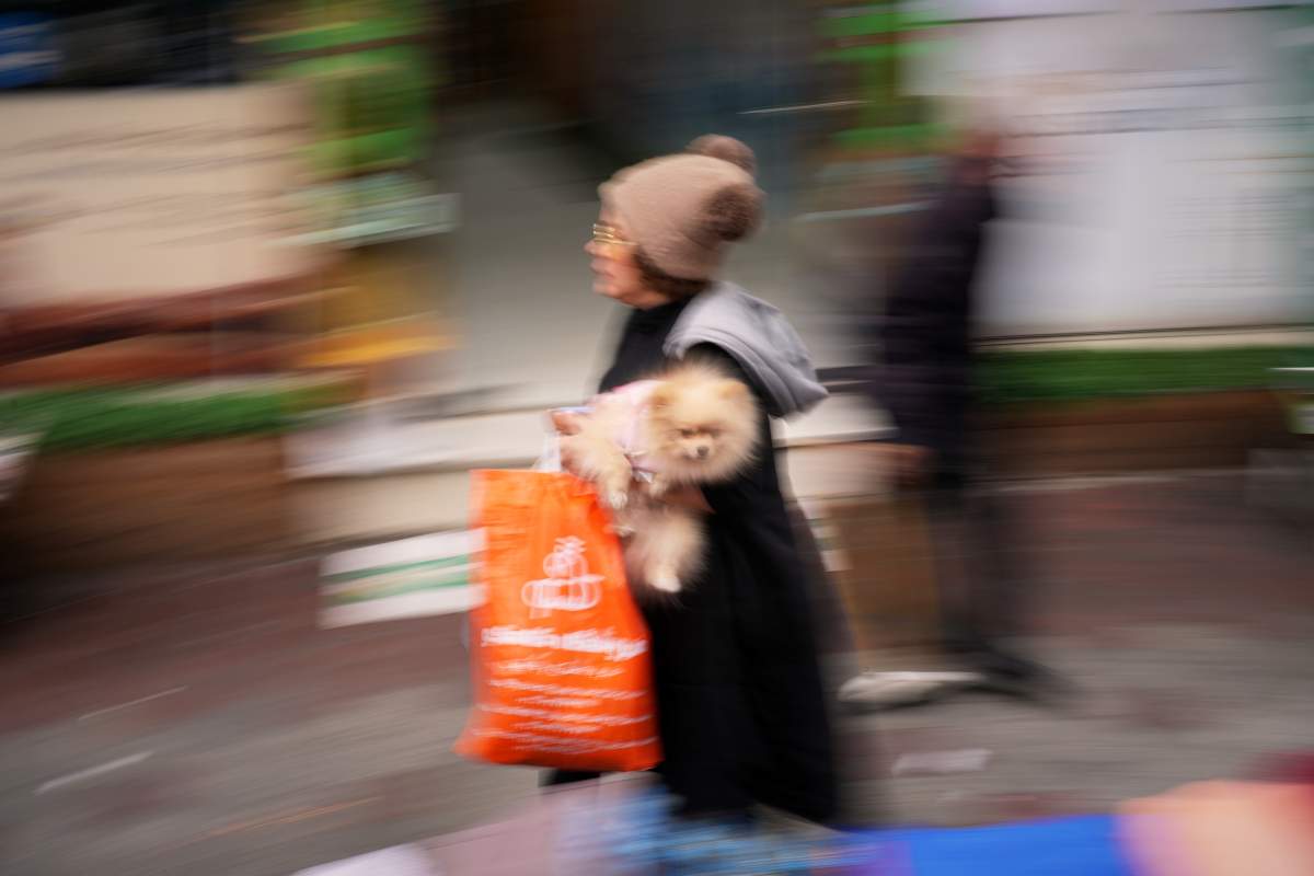 A woman carries her pet as she walks along a street market near Tajrish Bazaar in Tehran, Iran, Tuesday, April 7, 2026.