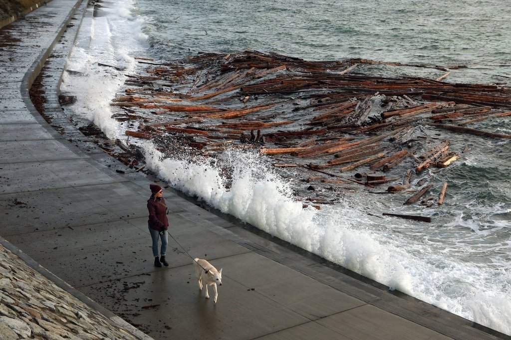 A person walks a dog as waves and debris crash into the breakwater below Dallas Rd. in Victoria, B.C., on Wednesday, Nov. 20, 2024. 