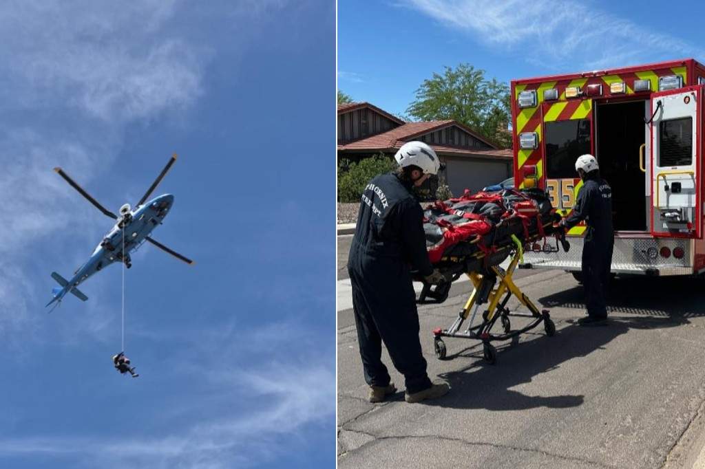 Technical rescue teams from Phoenix and Glendale responded to Lookout Mountain around 10AM for reports of a hiker stung multiple times by bees near the summit.