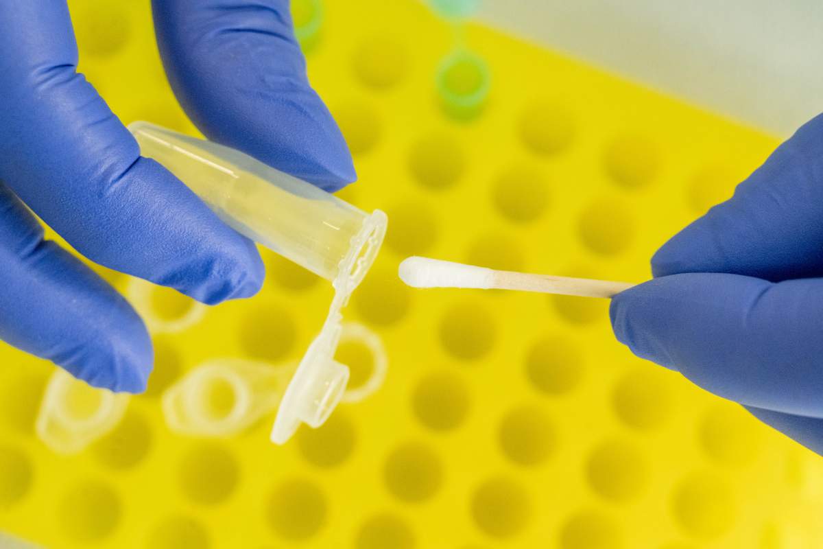 This image shows how a DNA trace on a swab is placed in a reaction vessel for examination in the laboratory. DNA analyses have revolutionized the investigation of crimes. But interpreting DNA evidence is sometimes difficult. This is also the subject of an important meeting of experts. Photo: Stefan Sauer/dpa, Feb. 27, 2026.